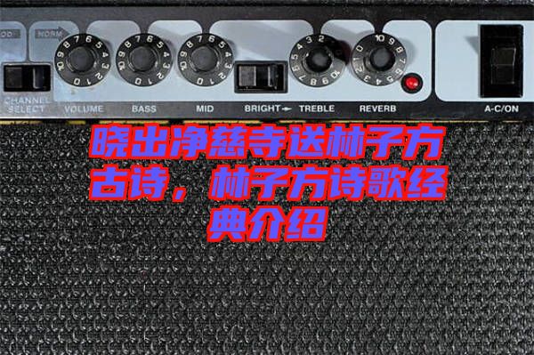 曉出凈慈寺送林子方古詩，林子方詩歌經典介紹