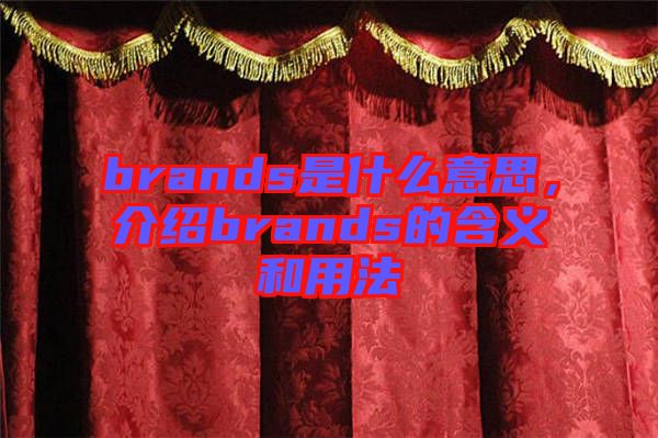 brands是什么意思，介紹brands的含義和用法