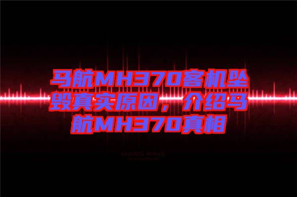馬航MH370客機(jī)墜毀真實原因，介紹馬航MH370真相