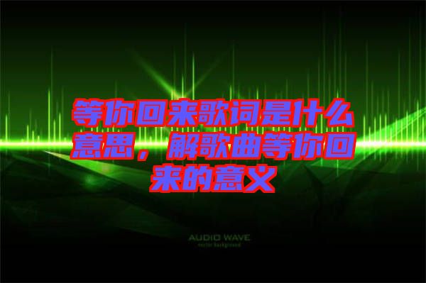 等你回來歌詞是什么意思，解歌曲等你回來的意義