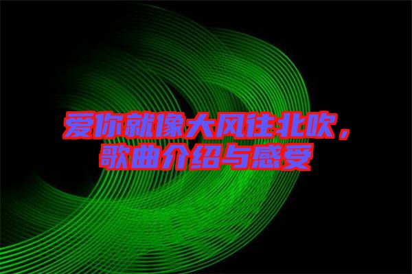 愛你就像大風往北吹，歌曲介紹與感受