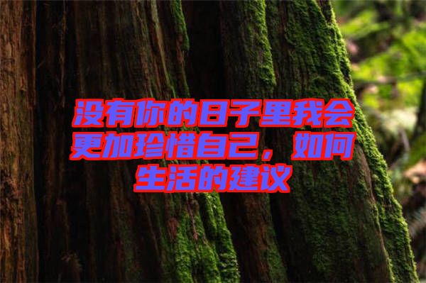 沒有你的日子里我會更加珍惜自己，如何生活的建議