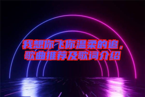我想你飛你溫柔的追，歌曲推薦及歌詞介紹