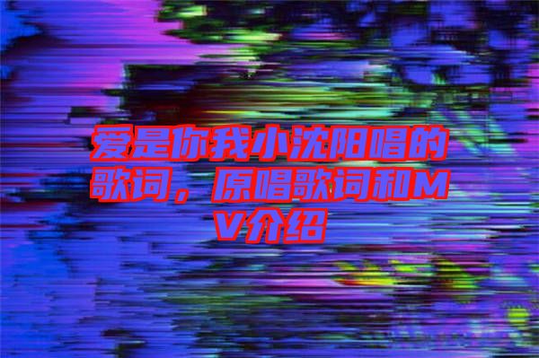 愛是你我小沈陽唱的歌詞，原唱歌詞和MV介紹