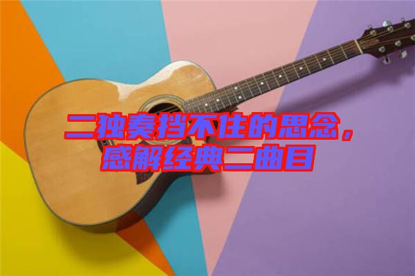 二獨奏擋不住的思念，感解經典二曲目