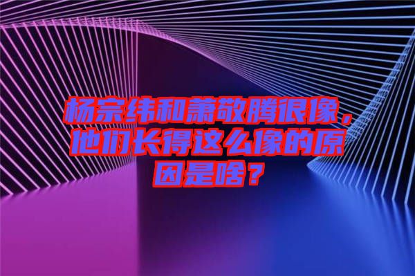 楊宗緯和蕭敬騰很像，他們長得這么像的原因是啥？