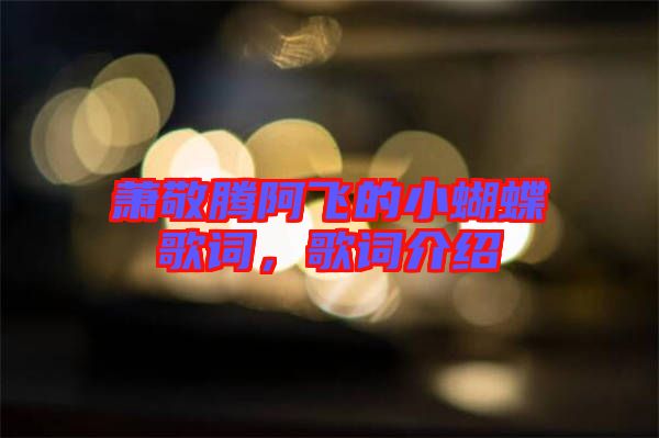 蕭敬騰阿飛的小蝴蝶歌詞，歌詞介紹
