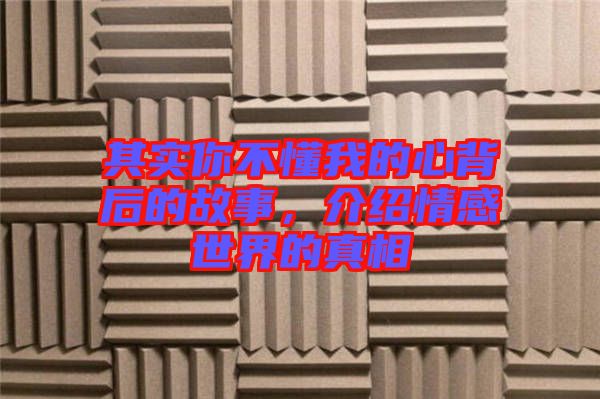 其實你不懂我的心背后的故事，介紹情感世界的真相