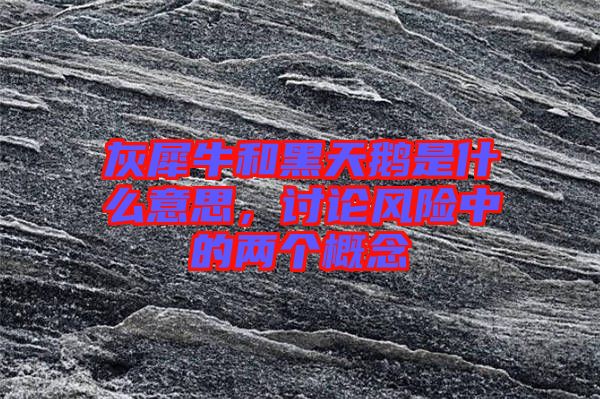 灰犀牛和黑天鵝是什么意思，討論風險中的兩個概念