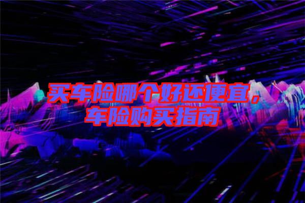 買車險哪個好還便宜，車險購買指南