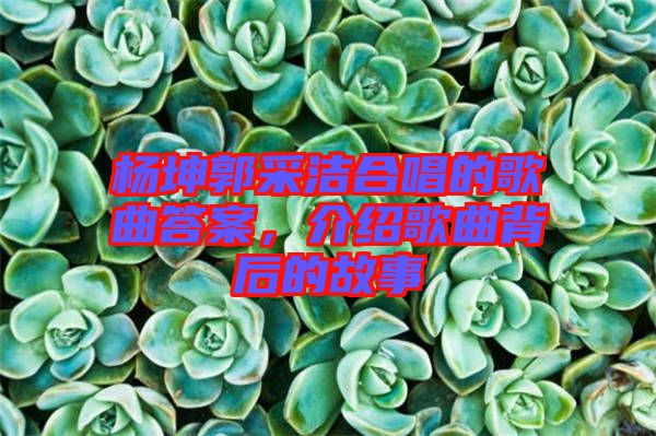 楊坤郭采潔合唱的歌曲答案，介紹歌曲背后的故事