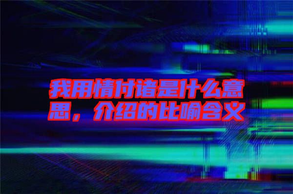 我用情付諸是什么意思，介紹的比喻含義