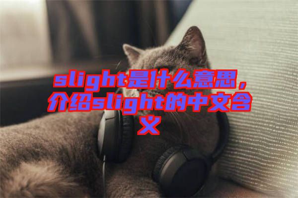 slight是什么意思，介紹slight的中文含義