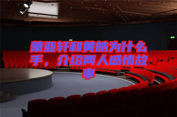 蕭亞軒和黃皓為什么手，介紹兩人感情故事