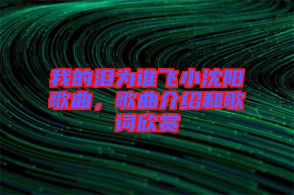 我的淚為誰飛小沈陽歌曲，歌曲介紹和歌詞欣賞