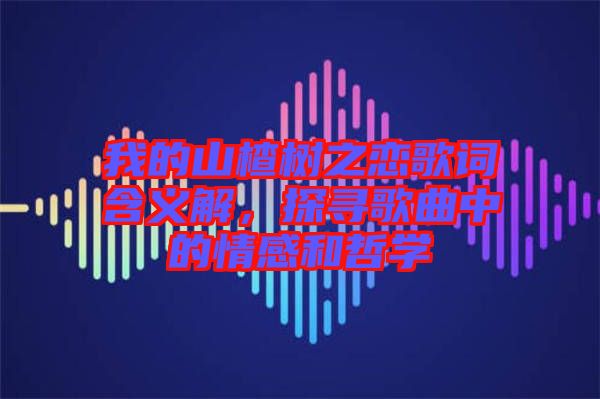 我的山楂樹之戀歌詞含義解，探尋歌曲中的情感和哲學