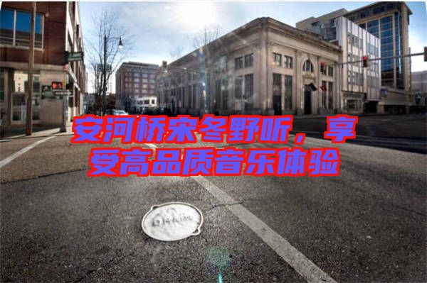安河橋宋冬野聽，享受高品質音樂體驗