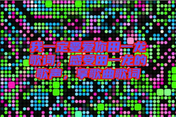 我一定要愛你田一龍歌詞，感受田一龍的歌聲，享歌曲歌詞