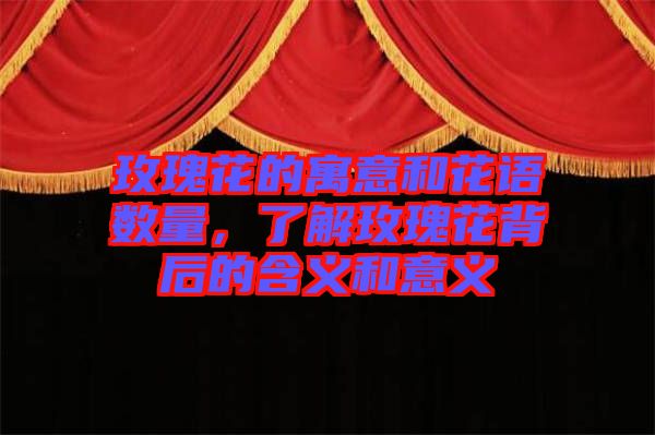 玫瑰花的寓意和花語數量，了解玫瑰花背后的含義和意義