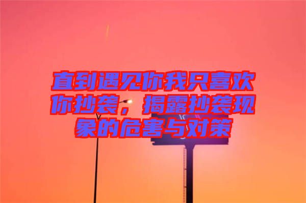 直到遇見你我只喜歡你抄襲，揭露抄襲現象的危害與對策