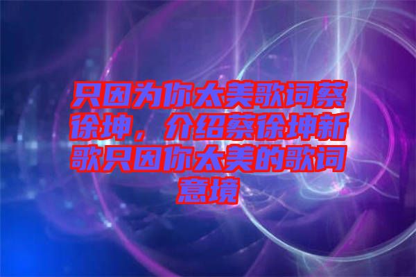 只因為你太美歌詞蔡徐坤，介紹蔡徐坤新歌只因你太美的歌詞意境