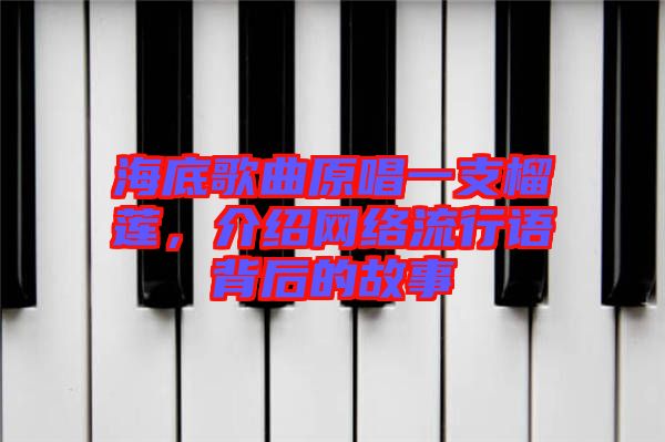 海底歌曲原唱一支榴蓮，介紹網絡流行語背后的故事