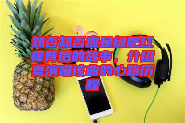 知否知否應是綠肥紅瘦背后的故事，介紹夏演唱該曲的心路歷程