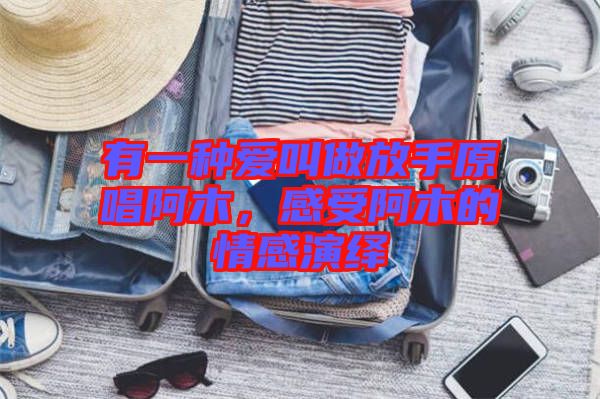 有一種愛叫做放手原唱阿木，感受阿木的情感演繹