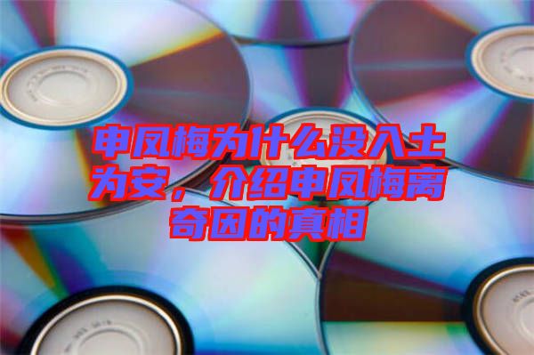 申鳳梅為什么沒入土為安，介紹申鳳梅離奇因的真相