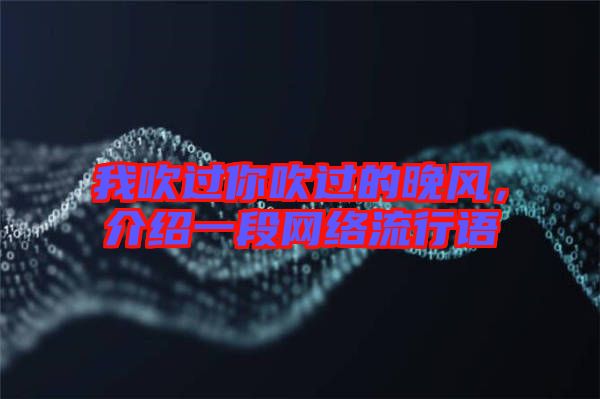 我吹過你吹過的晚風(fēng)，介紹一段網(wǎng)絡(luò)流行語
