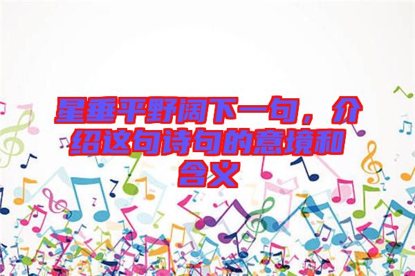 星垂平野闊下一句，介紹這句詩(shī)句的意境和含義