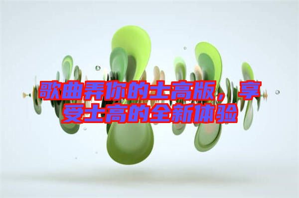 歌曲弄你的士高版，享受士高的全新體驗(yàn)
