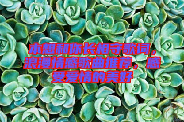 本想和你長(zhǎng)相守歌詞，浪漫情感歌曲推薦，感受愛(ài)情的美好