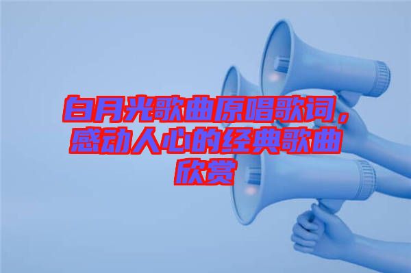 白月光歌曲原唱歌詞，感動(dòng)人心的經(jīng)典歌曲欣賞