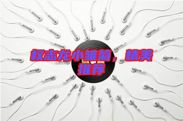 權志龍小雛菊，精美推薦
