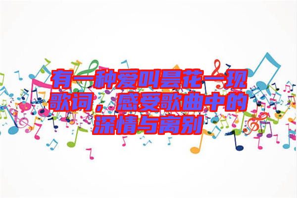 有一種愛叫曇花一現(xiàn)歌詞，感受歌曲中的深情與離別