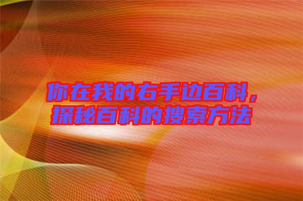 你在我的右手邊百科，探秘百科的搜索方法