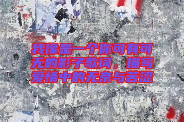 我像是一個你可有可無的影子歌詞，描寫愛情中的無奈與苦澀