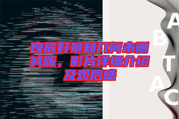 良辰好景知幾何未刪減版，影片詳細介紹及觀后感