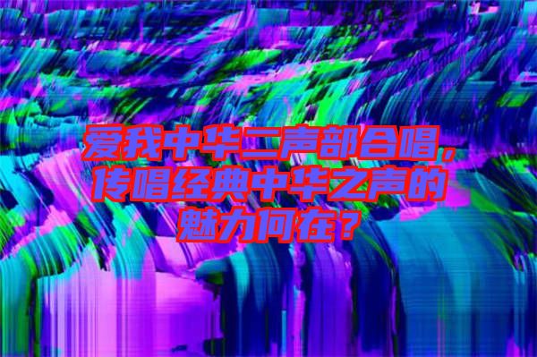 愛我中華二聲部合唱，傳唱經典中華之聲的魅力何在？