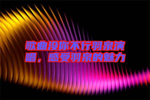 歌曲沒你不行羽泉演唱，感受羽泉的魅力