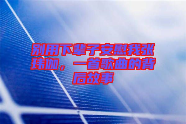 別用下輩子安慰我張瑋伽，一首歌曲的背后故事