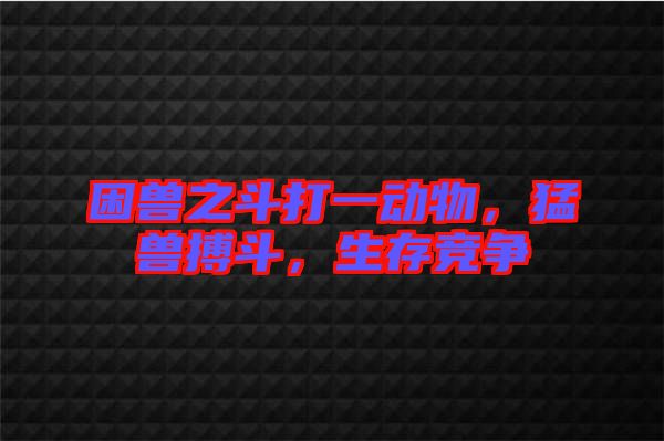 困獸之斗打一動物，猛獸搏斗，生存競爭