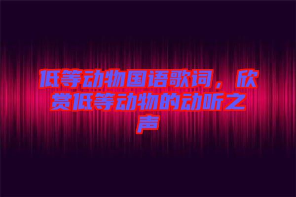 低等動物國語歌詞，欣賞低等動物的動聽之聲