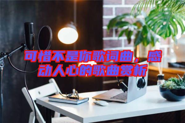 可惜不是你歌詞曲，感動人心的歌曲賞析