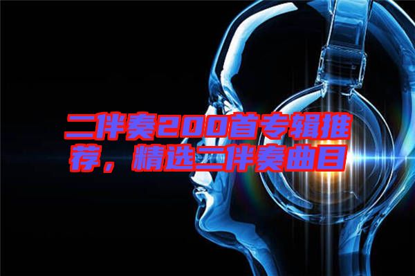 二伴奏200首專輯推薦，精選二伴奏曲目