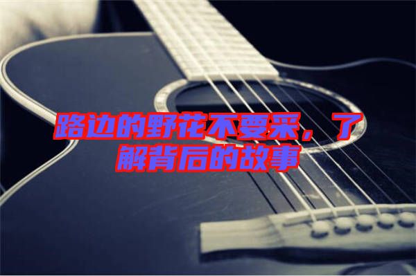 路邊的野花不要采，了解背后的故事