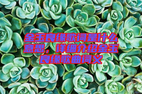 金玉良緣歌詞是什么意思，詳細介紹金玉良緣歌曲詞義
