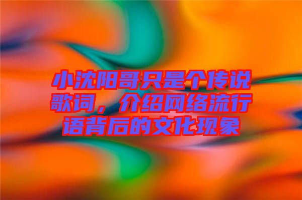 小沈陽哥只是個傳說歌詞，介紹網(wǎng)絡流行語背后的文化現(xiàn)象
