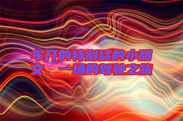 車開的特別猛的小甜文，一場的駕駛之旅